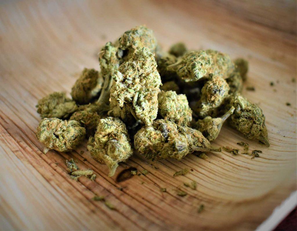Buds should be sticky and a bit spongy