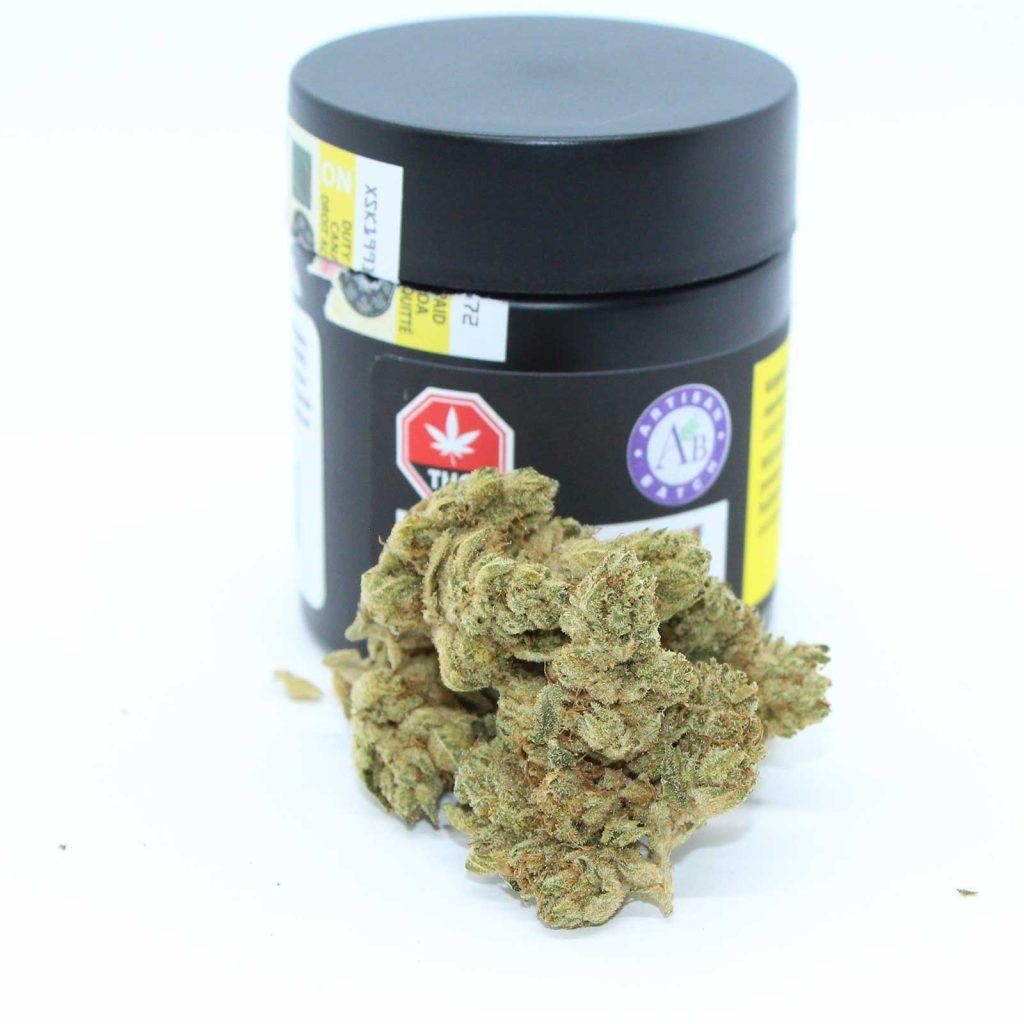 artisan batch purplefarm genetics sour glue review cannabis photos 2 merry jade