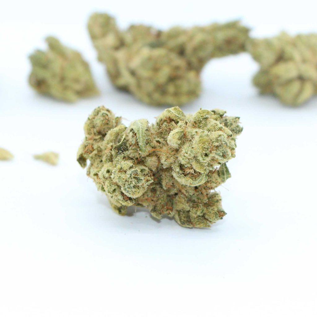 artisan batch purplefarm genetics sour glue review cannabis photos 4 merry jade
