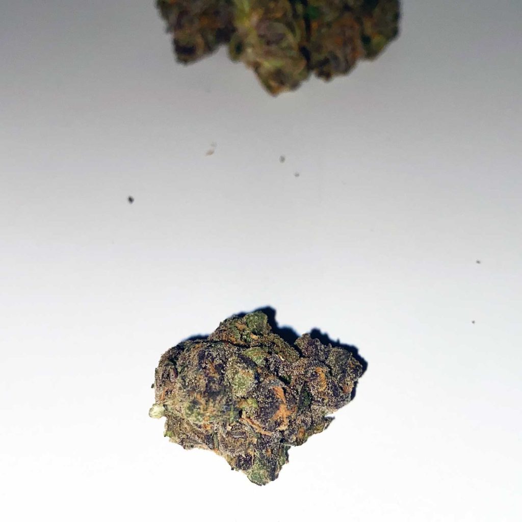 cookie apples bananas review cannabis photos 4 merry jade