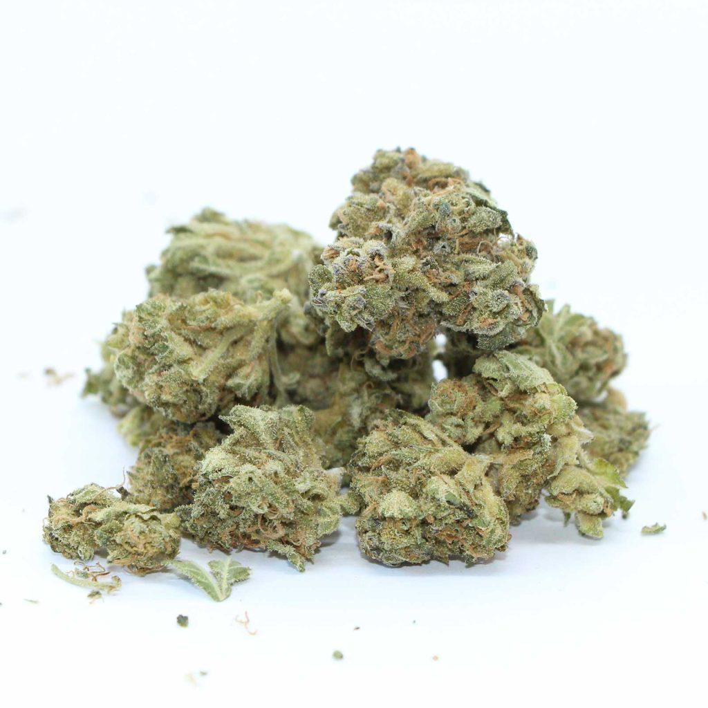 kolab project dark shadow haze review cannabis photos 3 merry jade