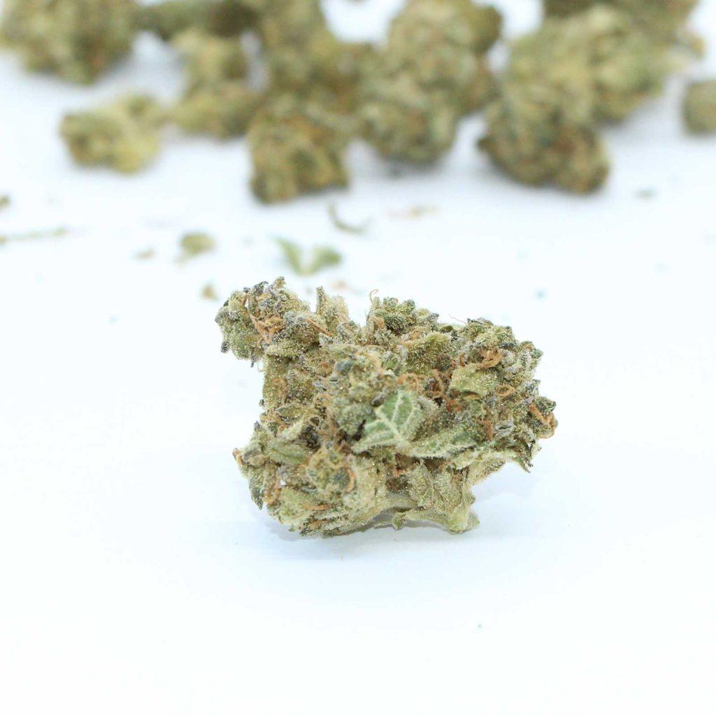 kolab project dark shadow haze review cannabis photos 4 merry jade