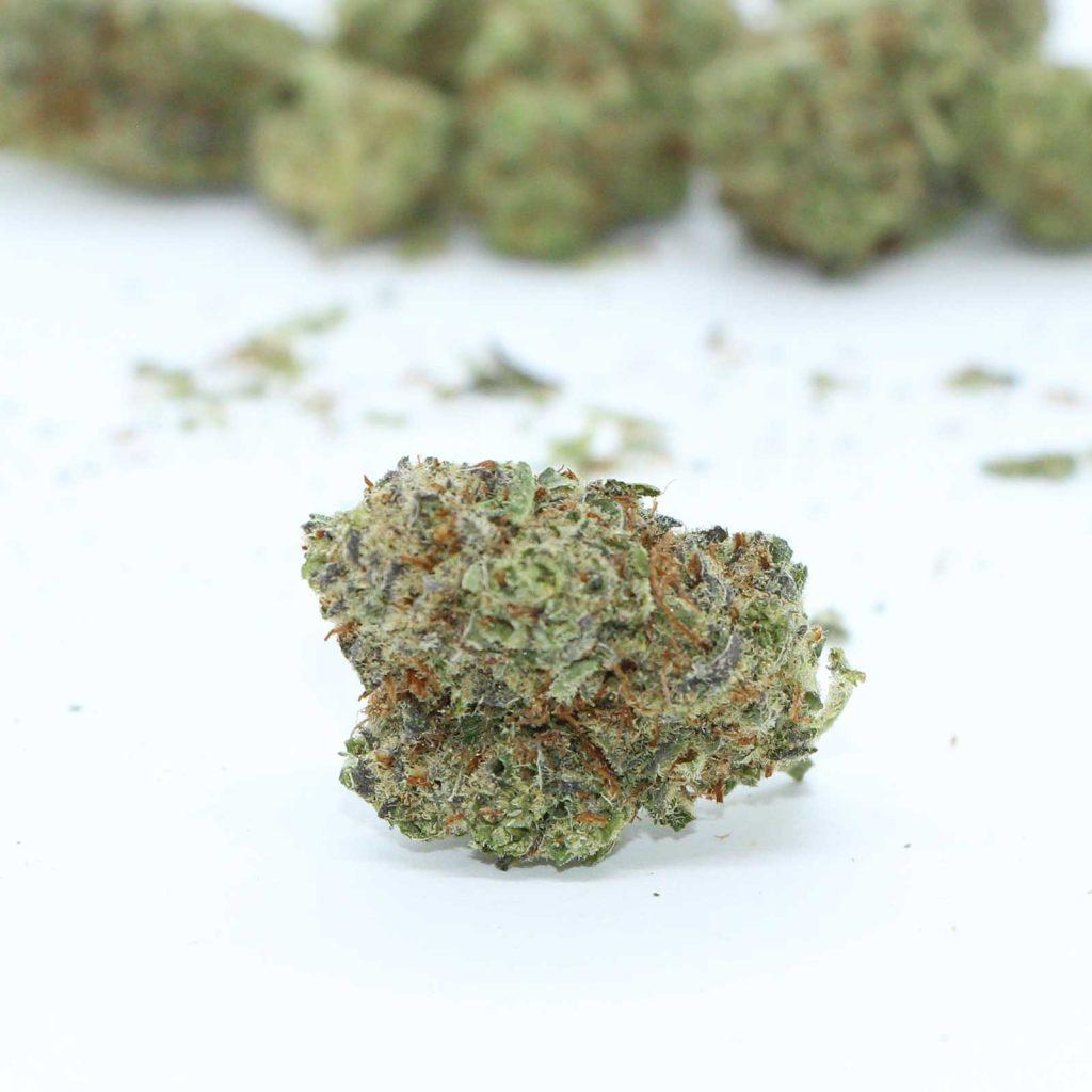melt holy mole kush review cannabis photos 4 merry jade