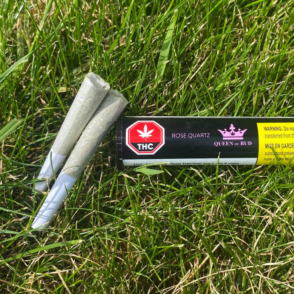 queen of bud rose quartz pre roll review cannabis photos 3 merry jade