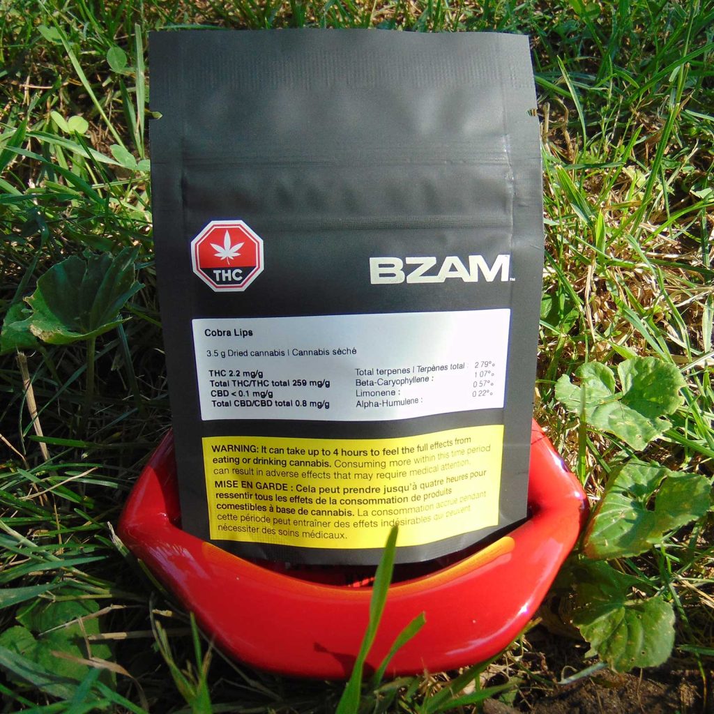 bzam cobra lips review cannabis photos 1 merry jade