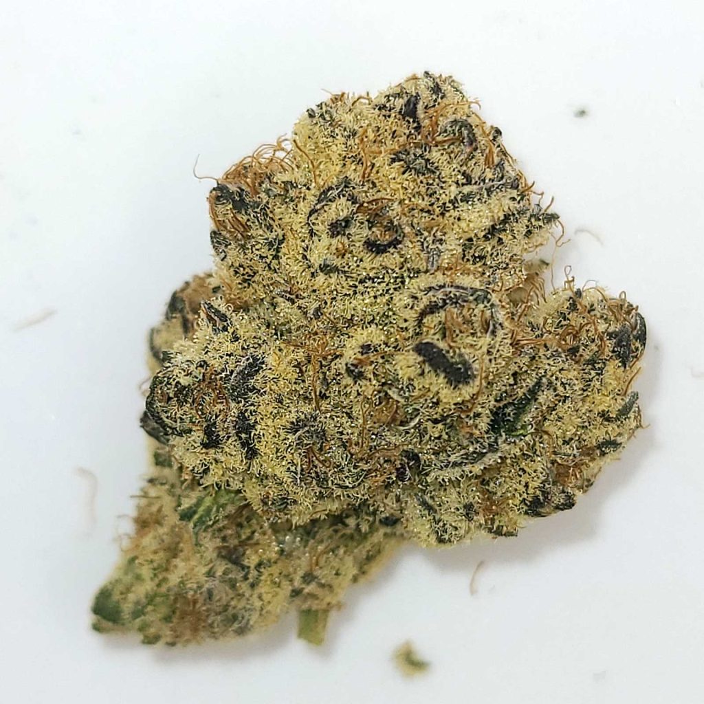 cake and caviar black pearl review cannabis photos 4 merry jade