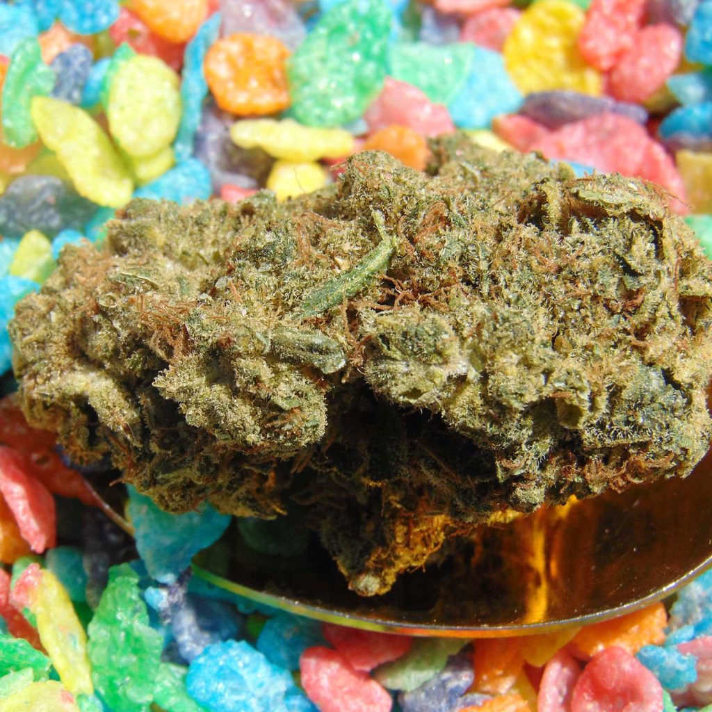 greybeard fruity pebbles og review cannabis photos 4 merry jade