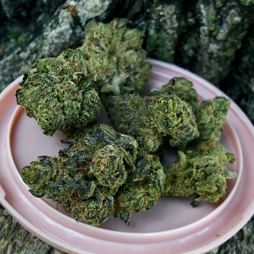 orchid cbd cbd runtz review cannabis photos 3 merry jade