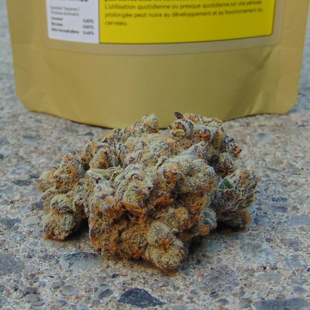 organnicraft platinum grapes review cannabis photos 3 merry jade