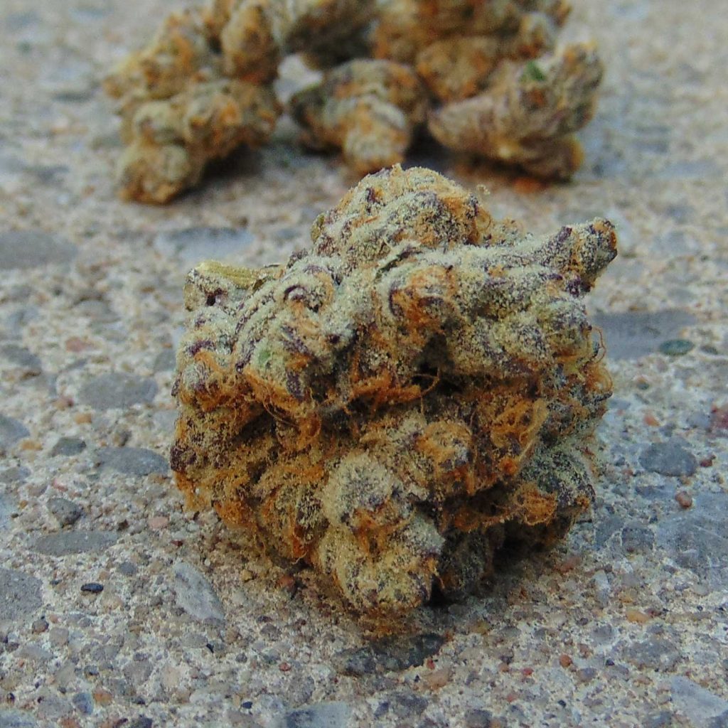 organnicraft platinum grapes review cannabis photos 4 merry jade