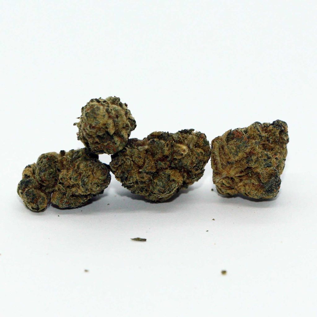dykstra greenhouses wreck leisure powdered donuts review photos 4 merry jade