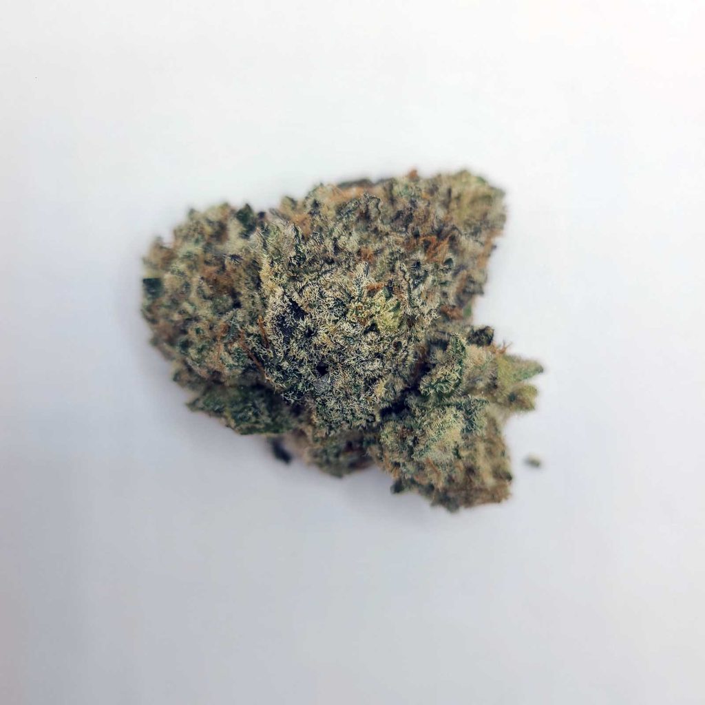 fresh alien jelly review cannabis photos 4 merry jade