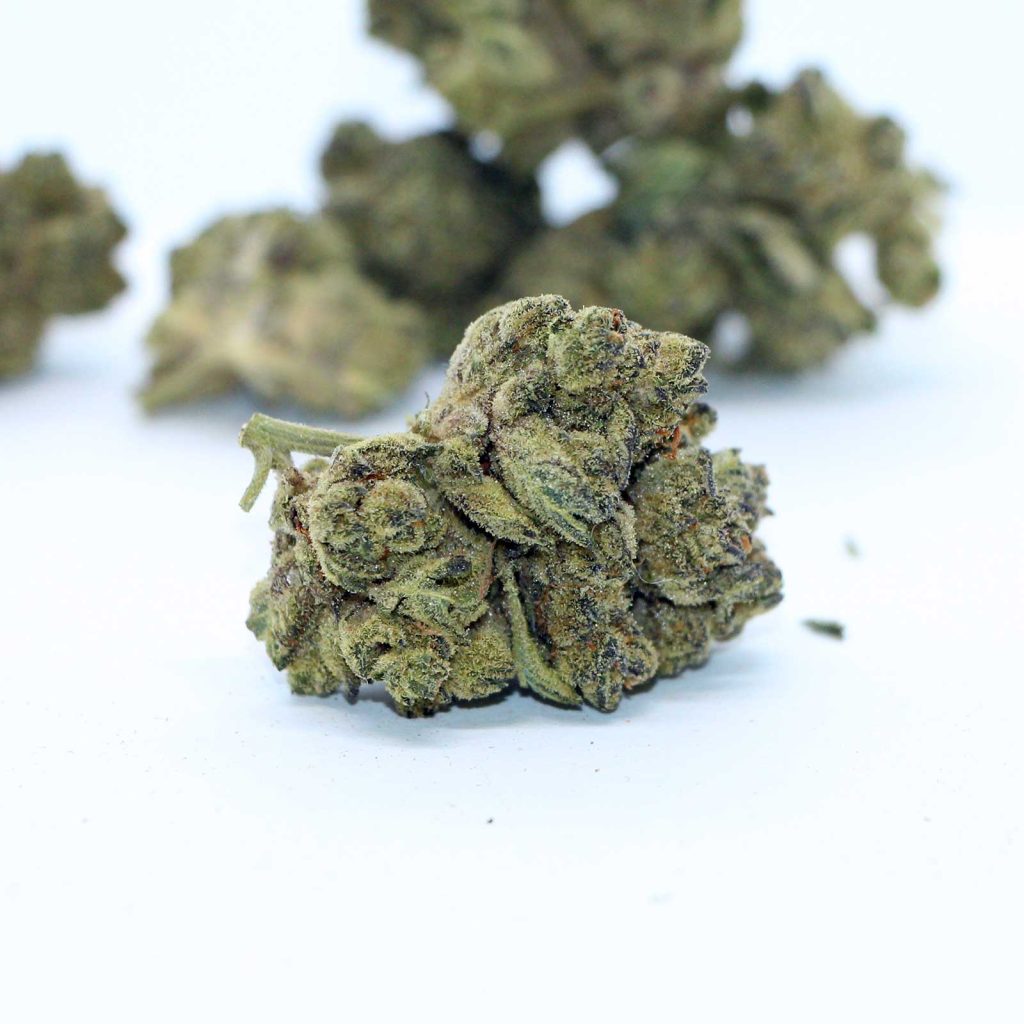 original stash os.one garlic jelly review cannabis photos 5 merry jade