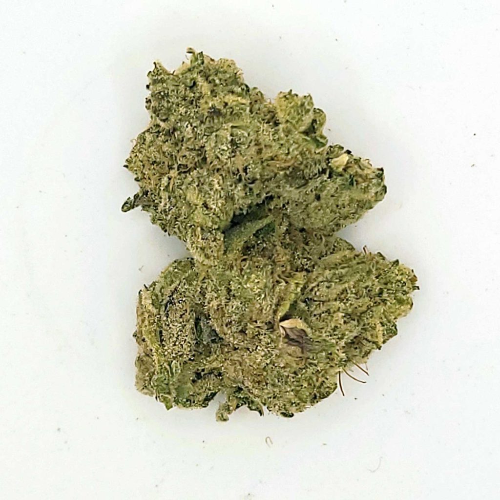 camp river cannabis animal cookies review photos 4 merry jade
