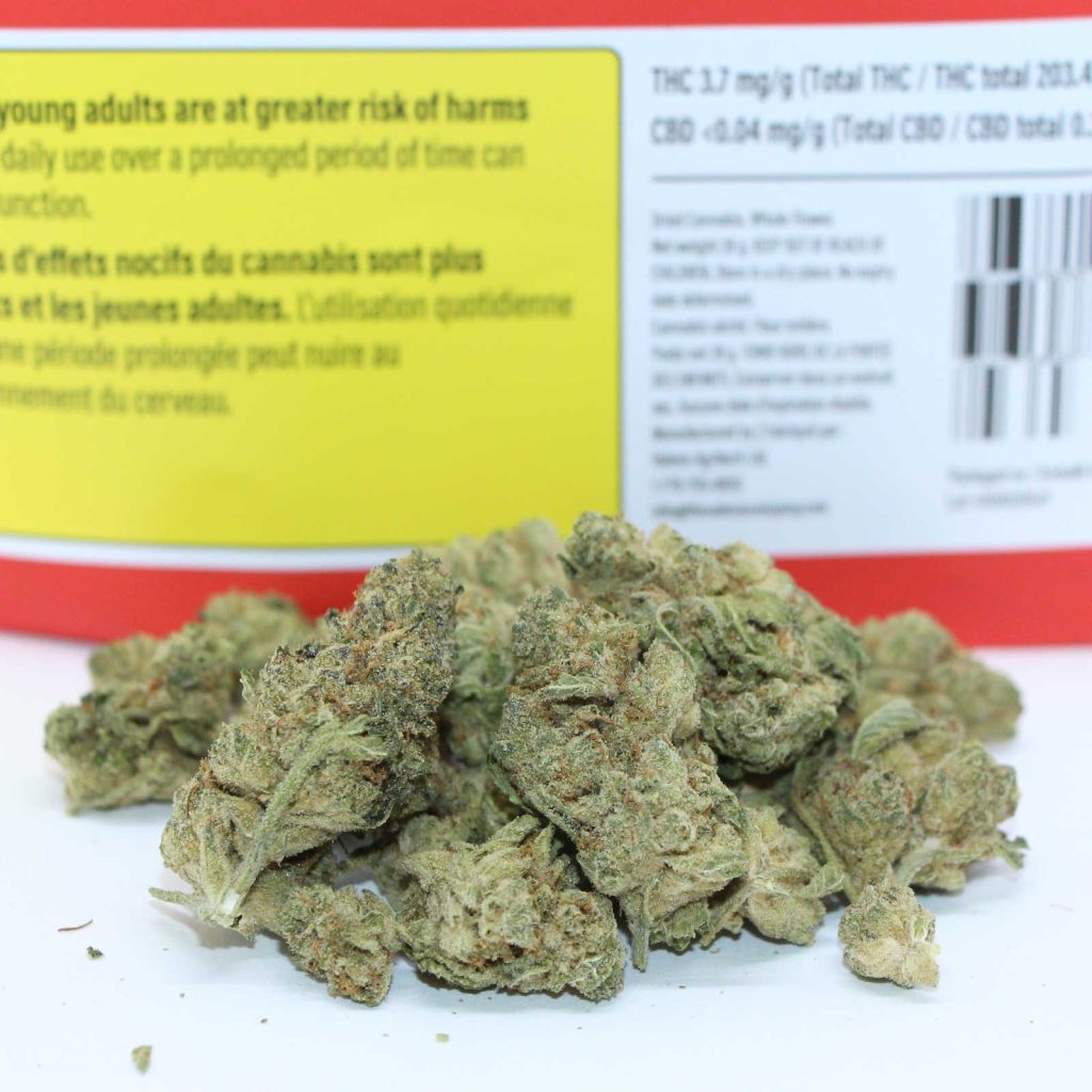 versus bc god bud review cannabis photos 3 merry jade