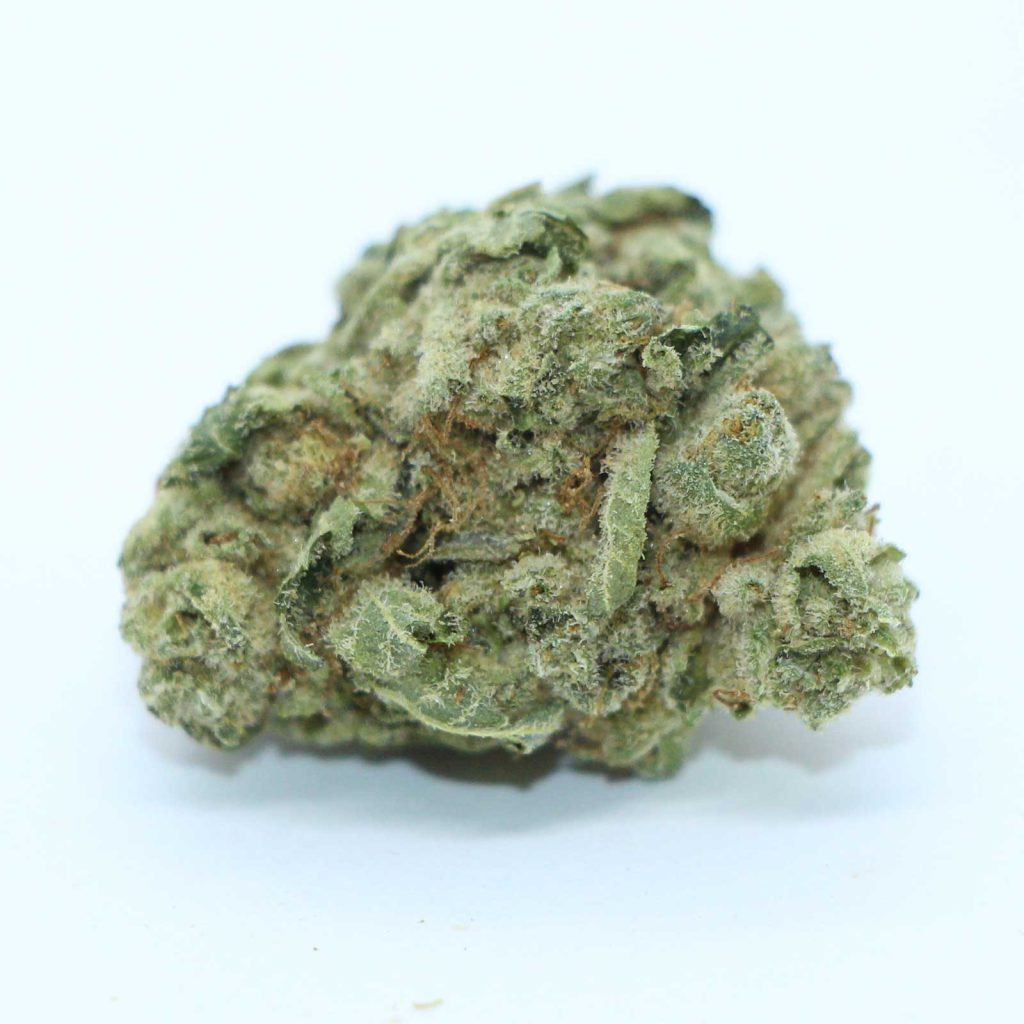 versus bc god bud review cannabis photos 6 merry jade