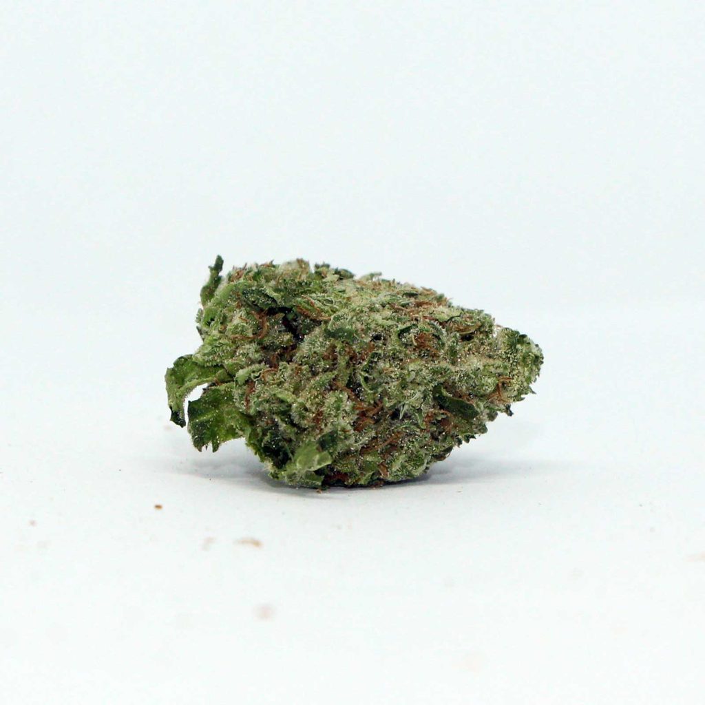 girl scout cookies cannabis strain high potency