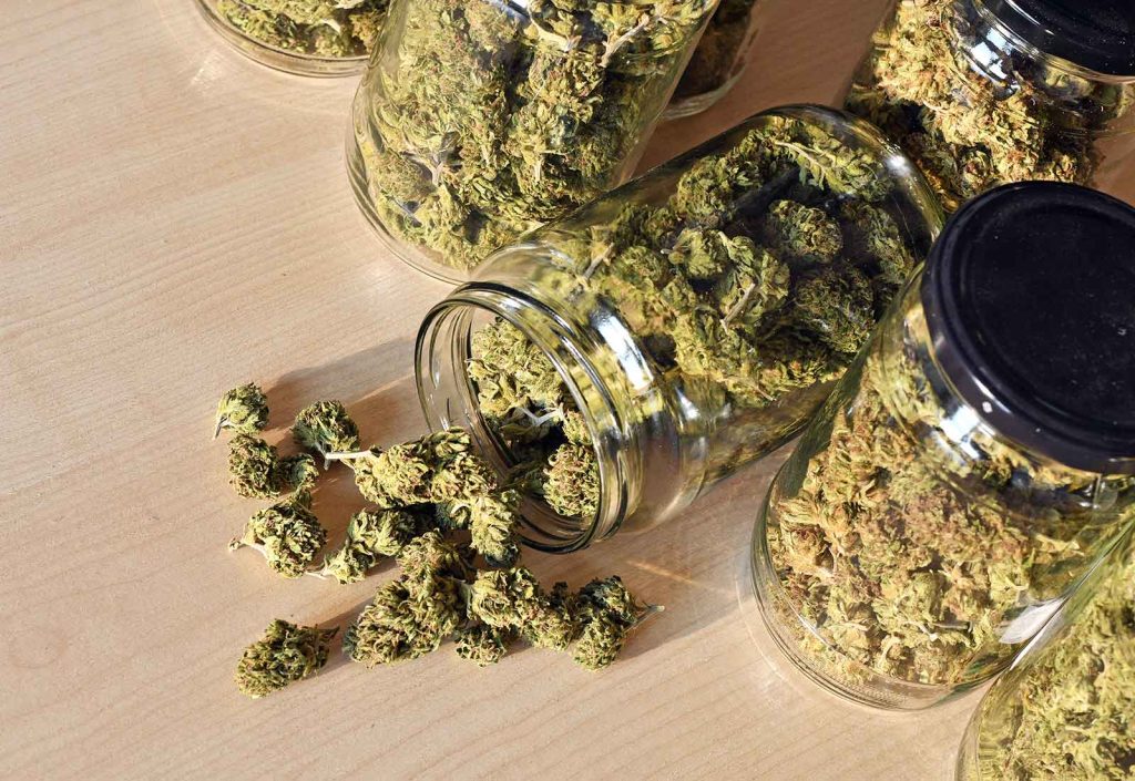 how to become a budtender