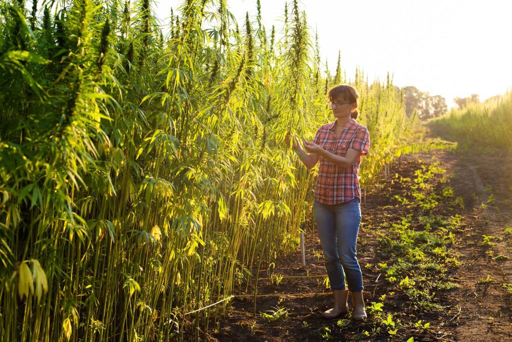who made hemp illegal in the us