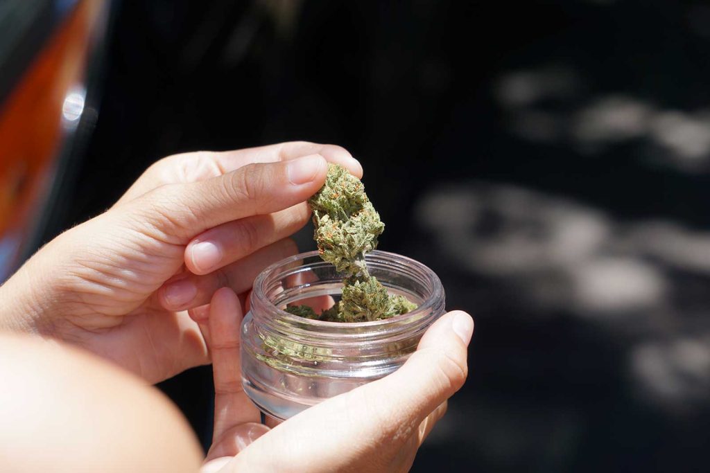 Does humidity affect smell flavour and effects of cannabis