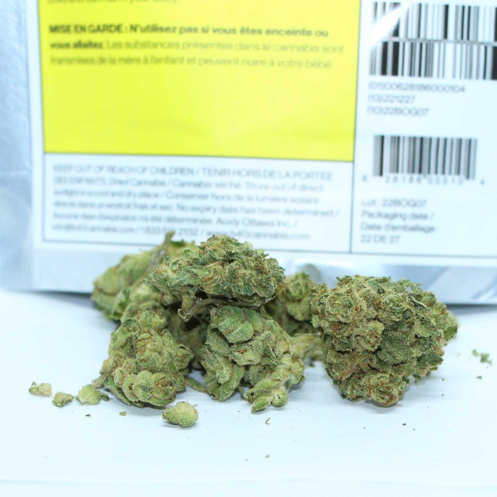 back forty banana og review cannabis review 3 merry jade
