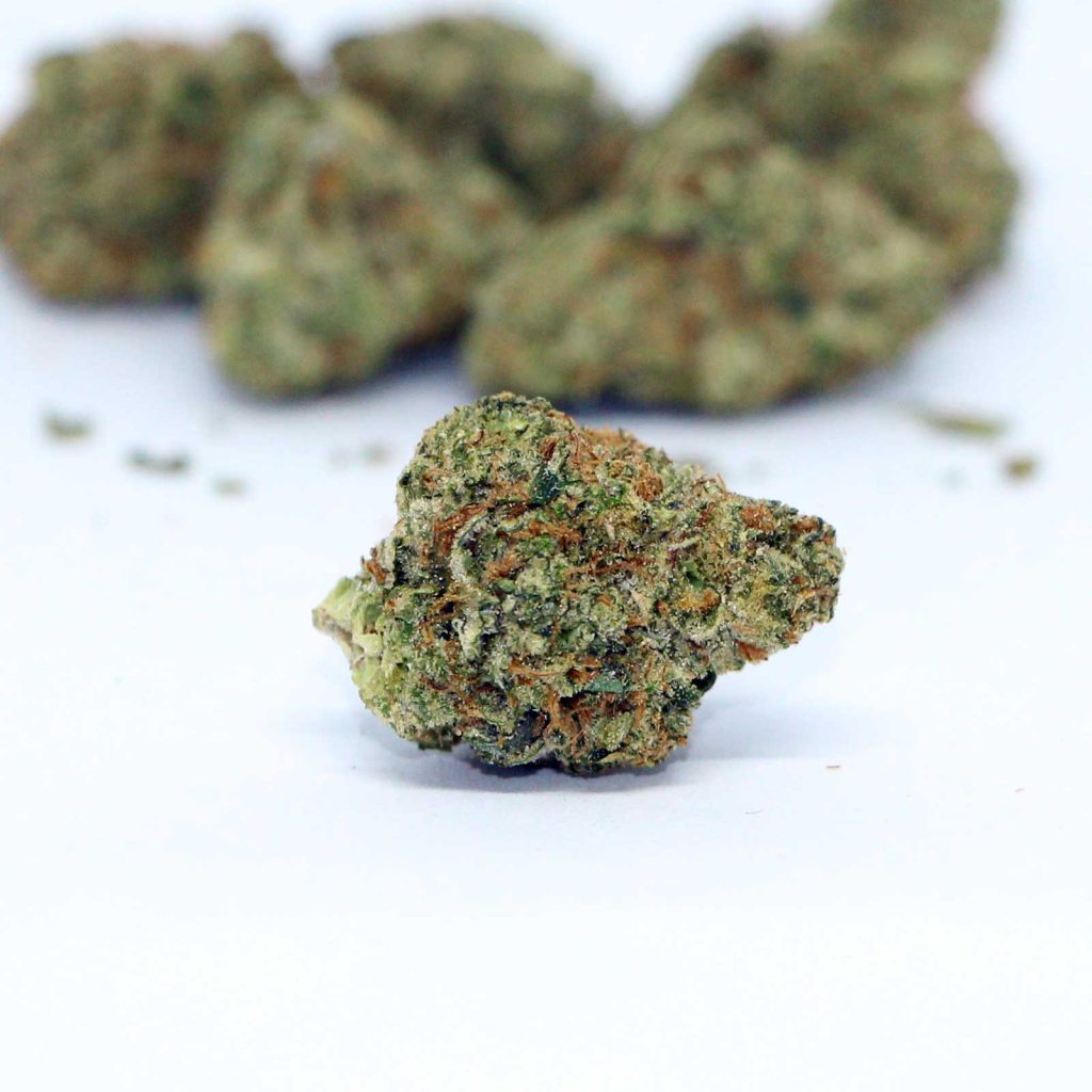 carmel animal face review cannabis photos 5 merry jade
