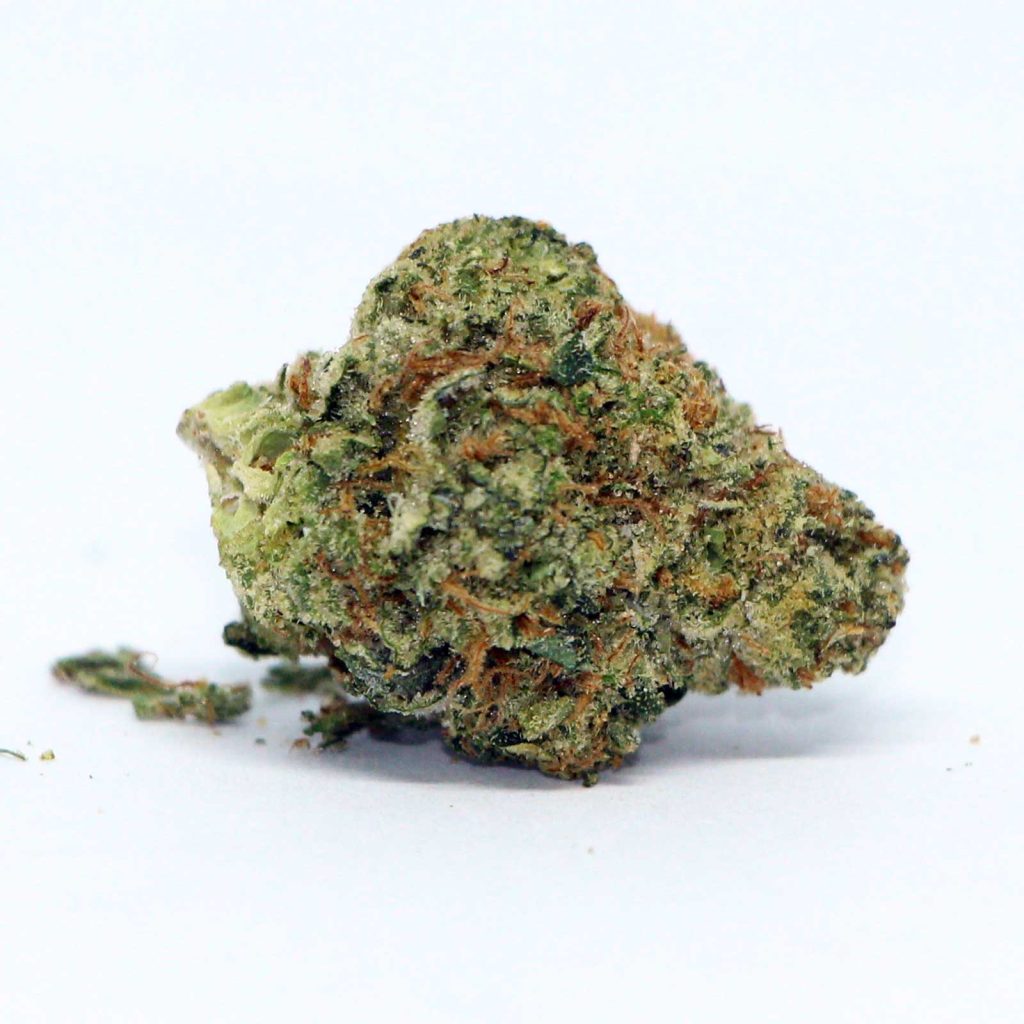 carmel animal face review cannabis photos 6 merry jade