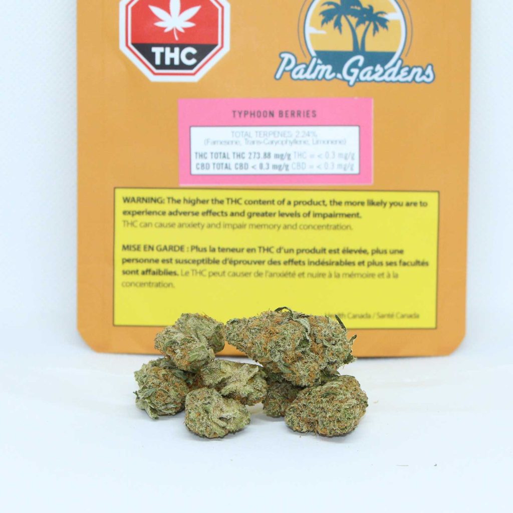 palm gardens typhoon berries review cannabis photos 3 merry jade