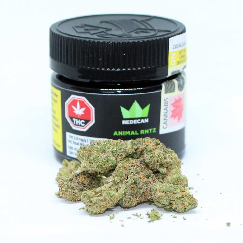 redecan animal rntz review cannabis photos 3 merry jade
