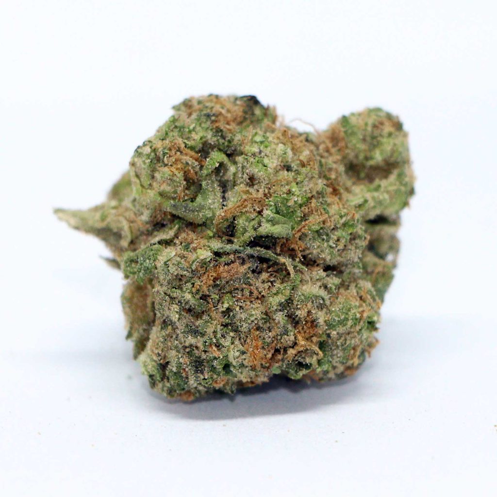 redecan animal rntz review cannabis photos 6 merry jade