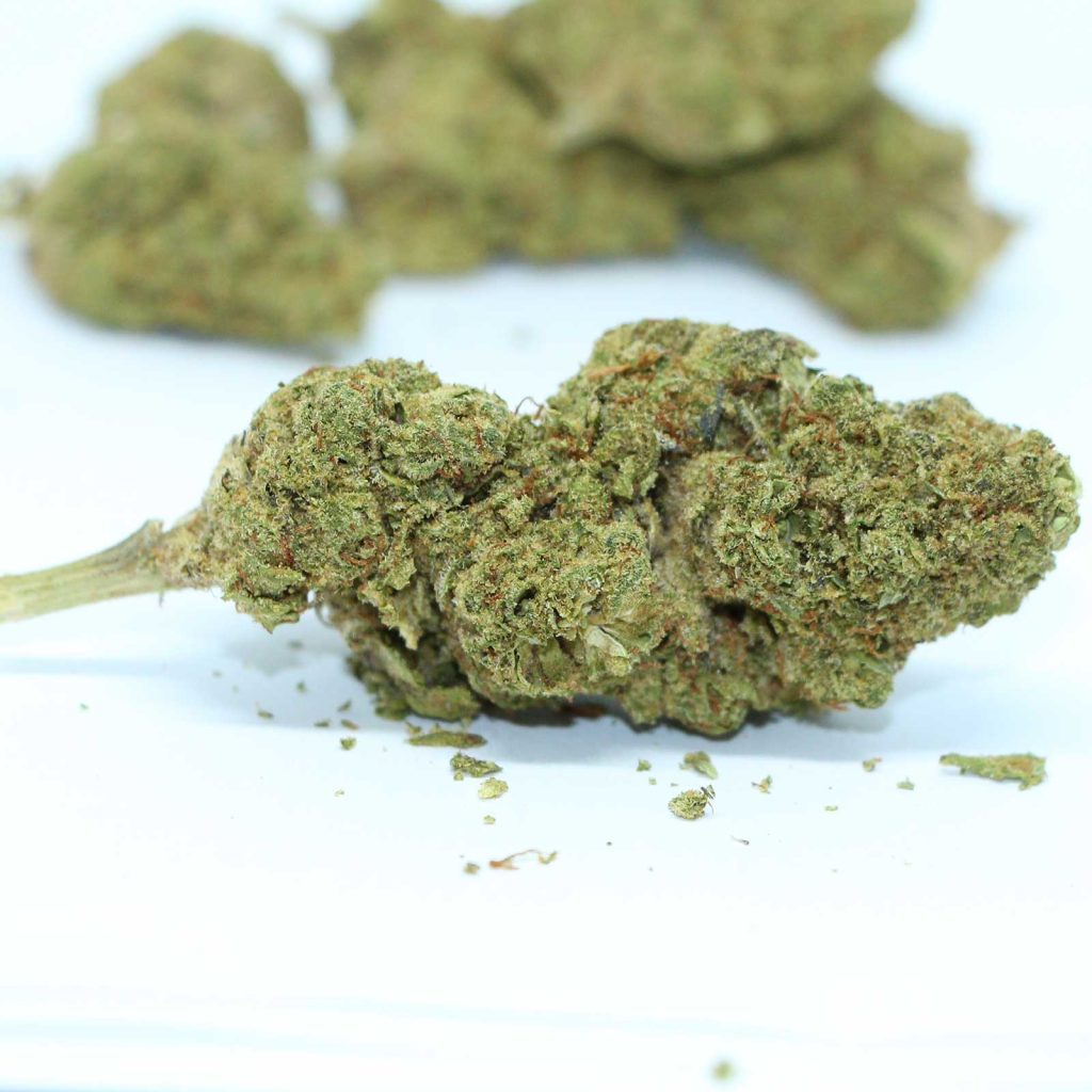 redecan mint chip gelato review cannabis photos 4 merry jade