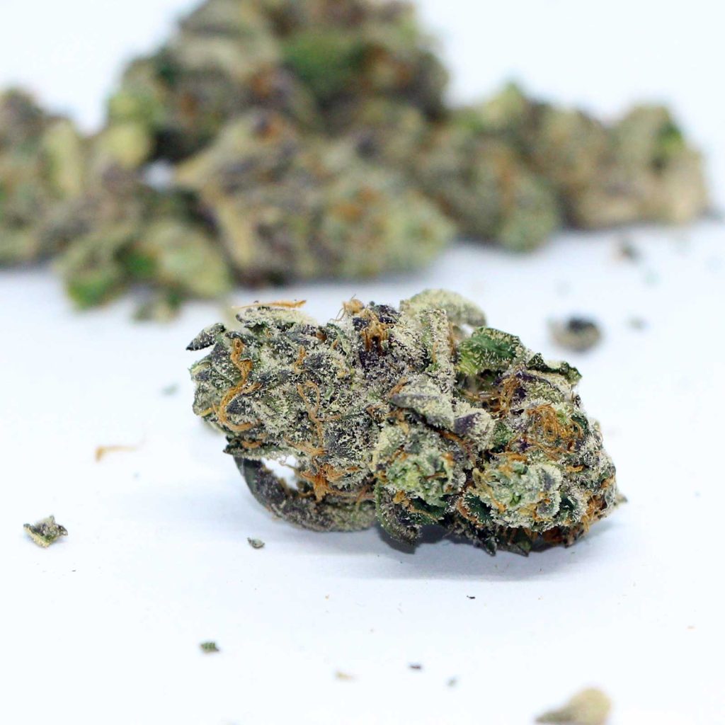 tribal galactic rntz review cannabis photos 5 merry jade