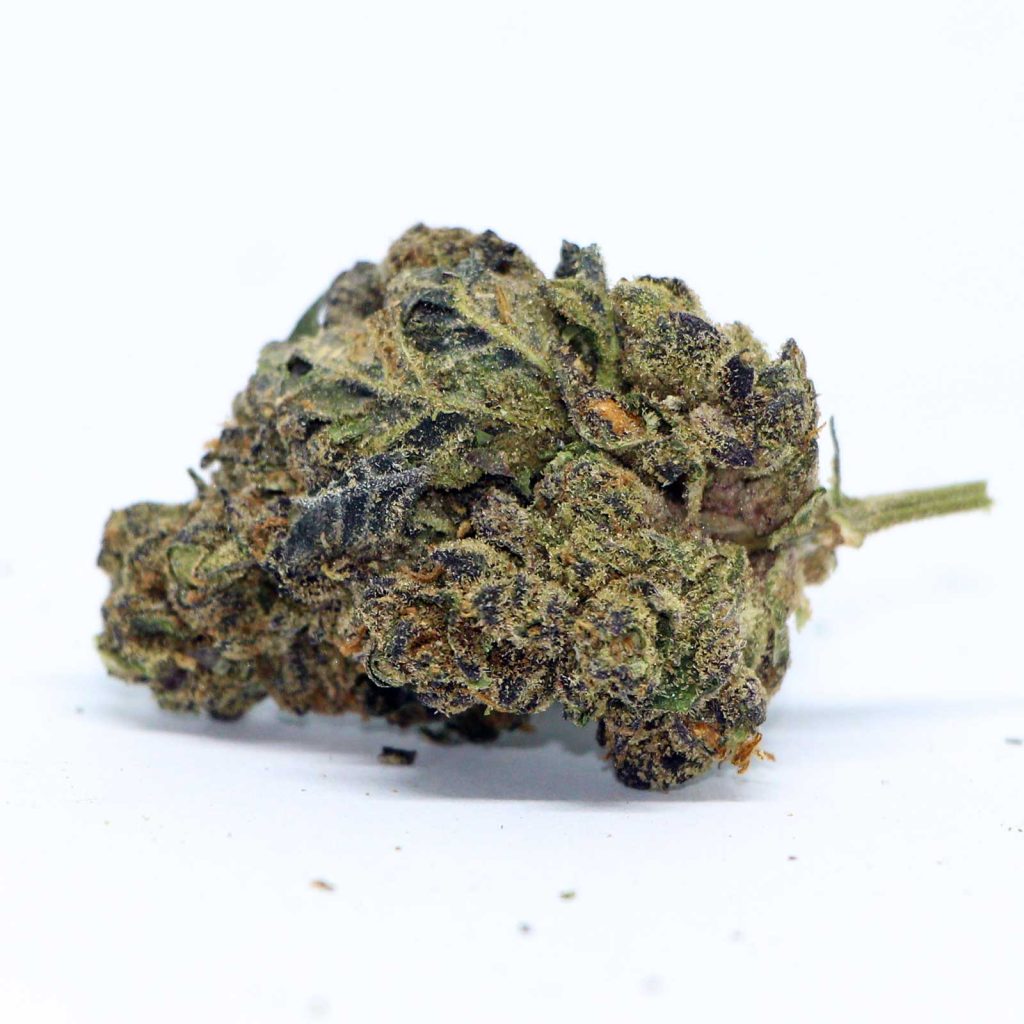 versus rockstar review photos 6 merry jade