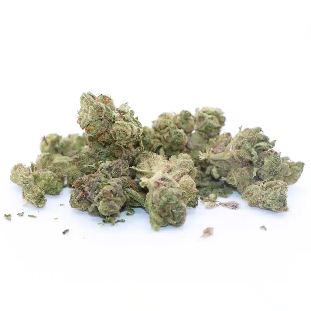 back forty apple fritter review cannabis photos 4 merry jade