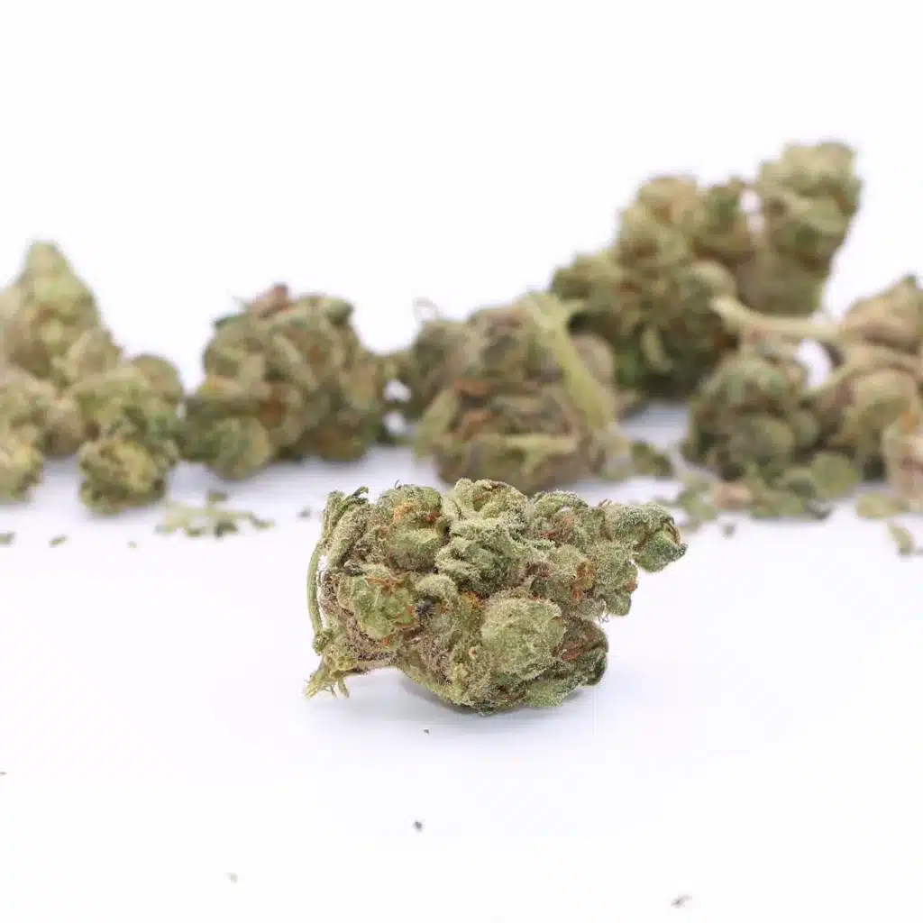 back forty apple fritter review cannabis photos 5 merry jade