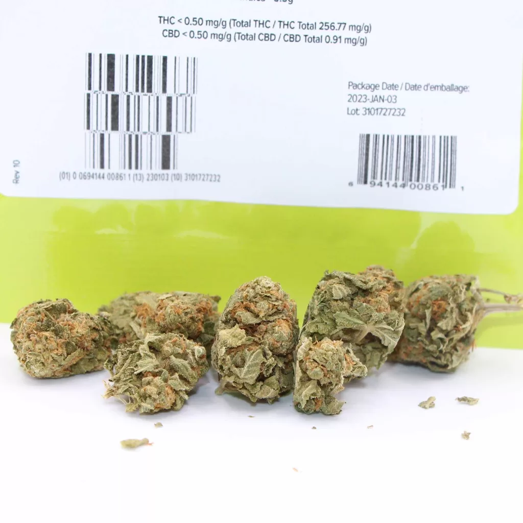 good supply grand daddy purps review cannabis photos 3 merry jade