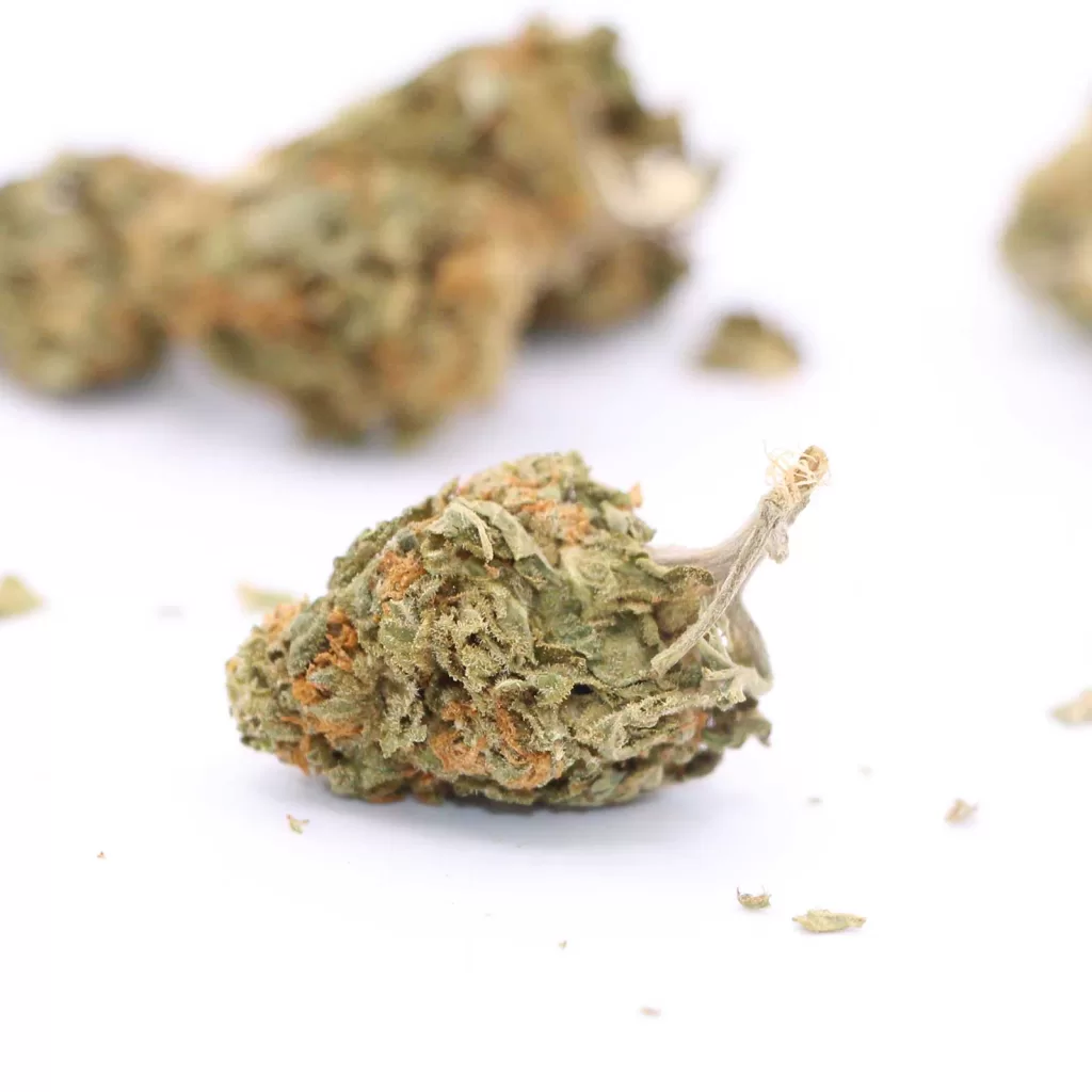 good supply grand daddy purps review cannabis photos 5 merry jade