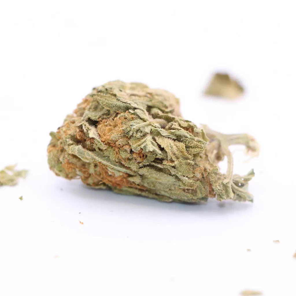 good supply grand daddy purps review cannabis photos 6 merry jade