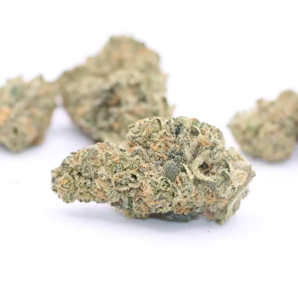 mtl cannabis wes coast kush review photos 5 merry jade