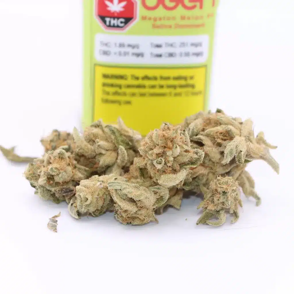 ogen megaton melon 4 review cannabis photos 3 merry jade
