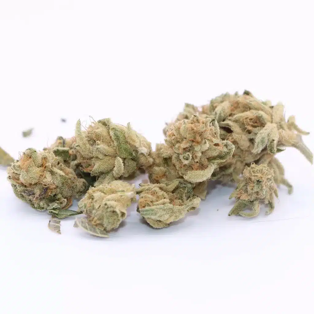 ogen megaton melon 4 review cannabis photos 4 merry jade