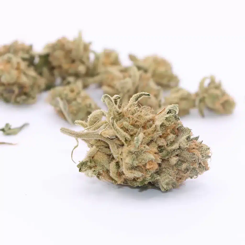 ogen megaton melon 4 review cannabis photos 5 merry jade