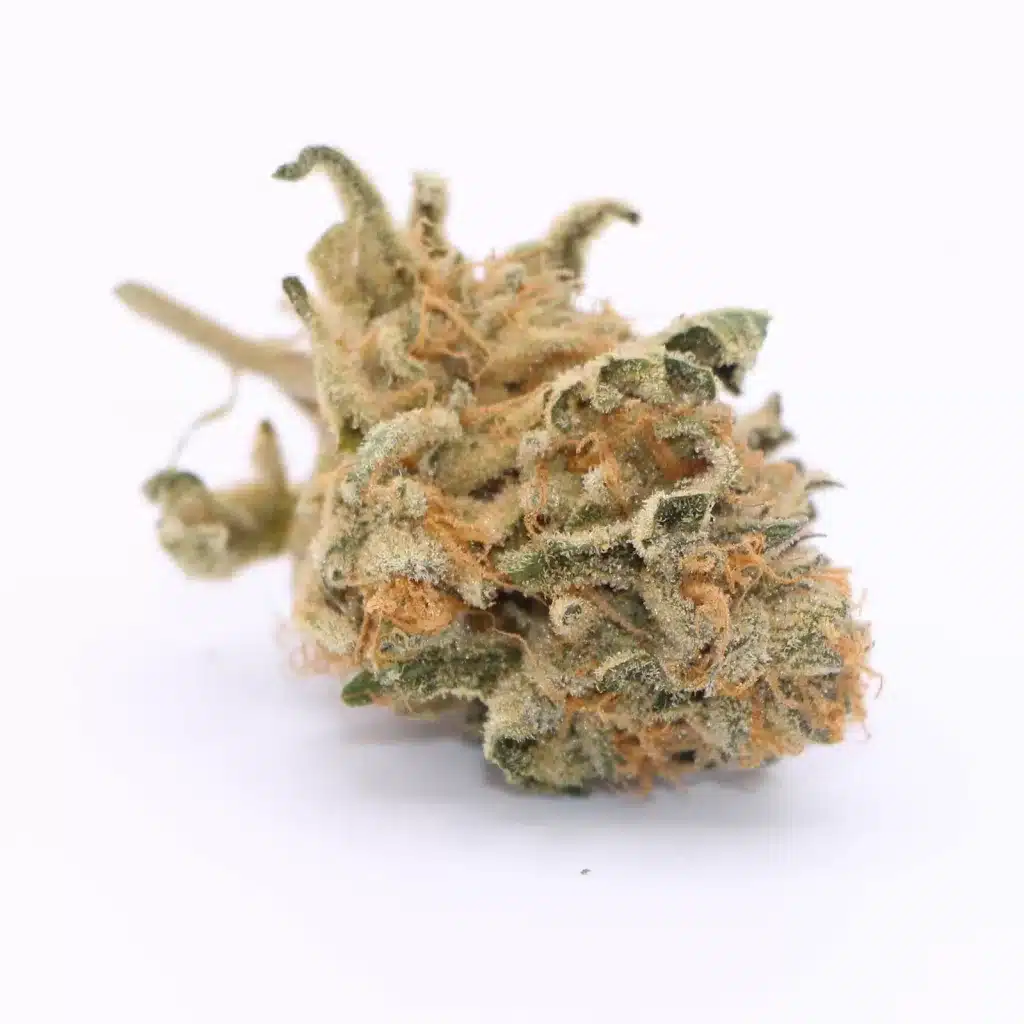 ogen megaton melon 4 review cannabis photos 6 merry jade