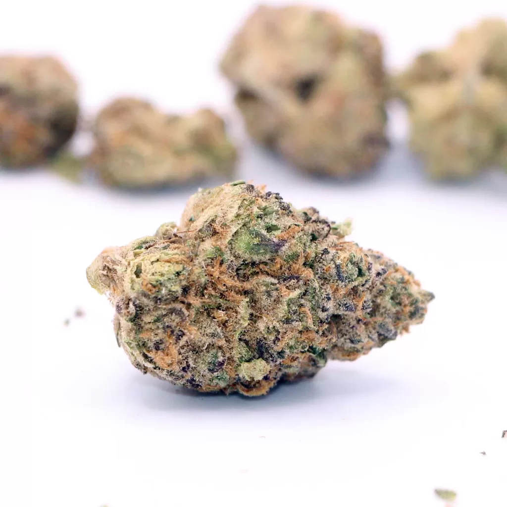 qwest tko review cannabis photos 5 merry jade