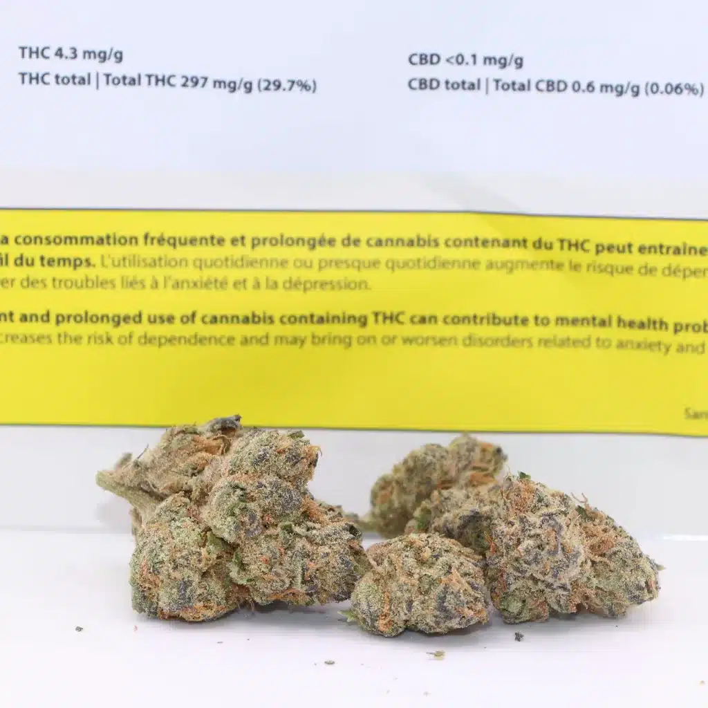 Bon Voyage Flight 077 Craft Sapphire Cookies Review Photos 3 mery jade