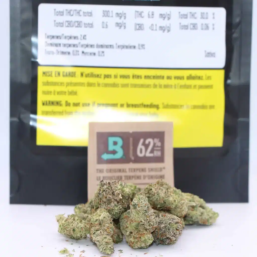 be humble cherry diesel cheesecake review photos 3 merry jade