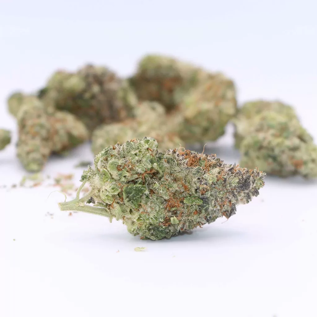 be humble cherry diesel cheesecake review photos 5 merry jade
