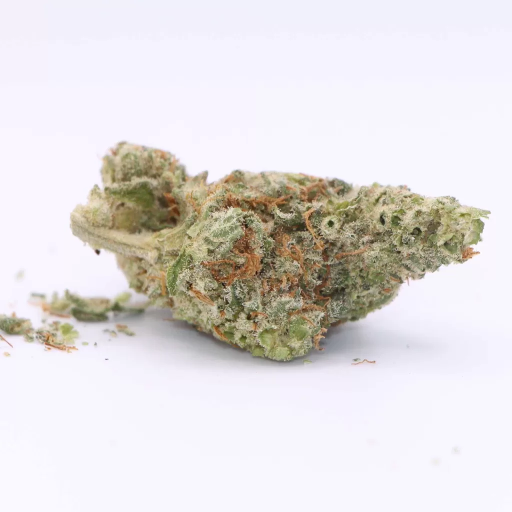 be humble cherry diesel cheesecake review photos 6 merry jade