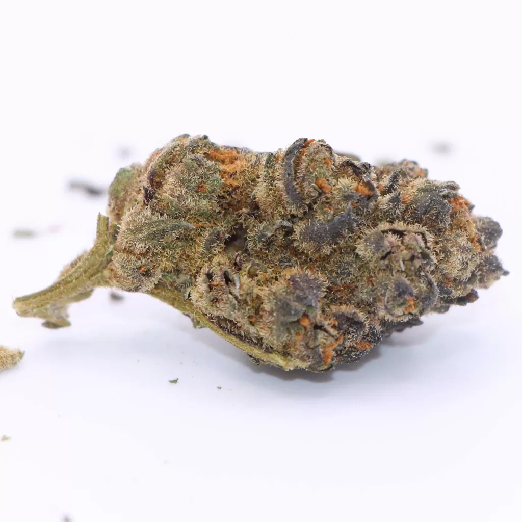 color cannabis baked grape pie review photos 6 merry jade