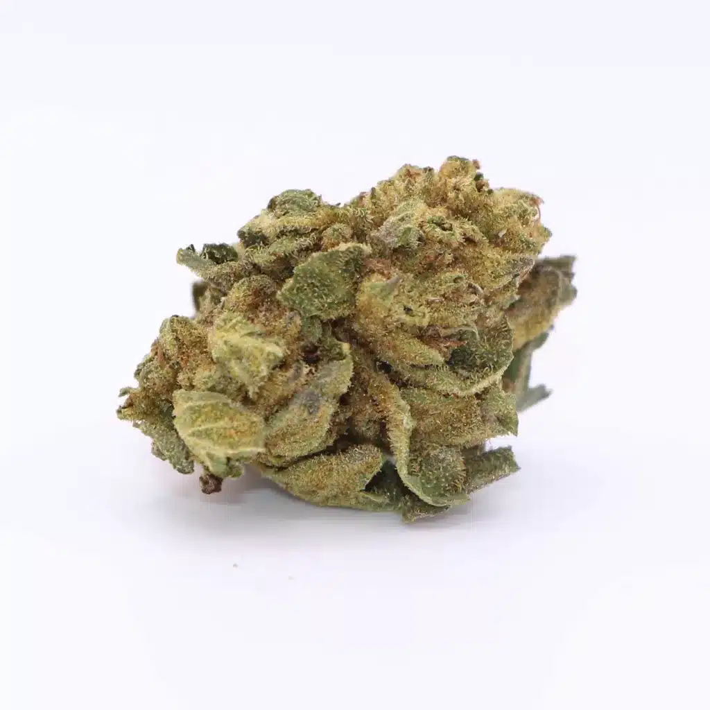 hustle shake flavour of month dark shadow x ghost train haze review 6 merry jade